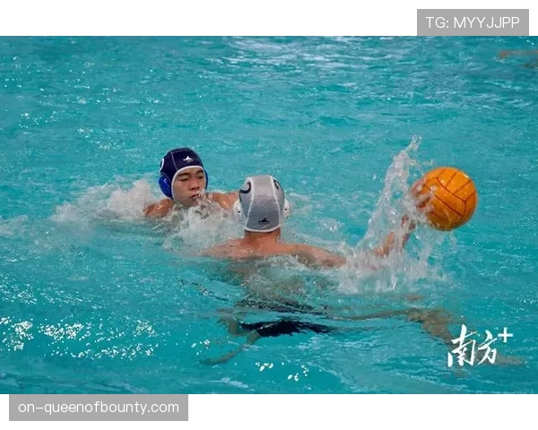 水球比赛用球通过国际认证，弹性参数公开