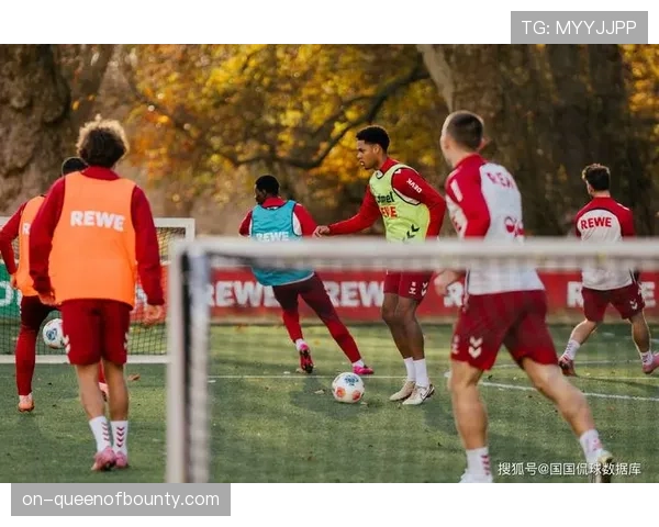 德甲冬歇期前最后一轮，各队为排名做最后冲刺